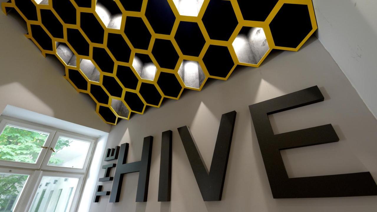 Vandrerhjem The Hive Party *